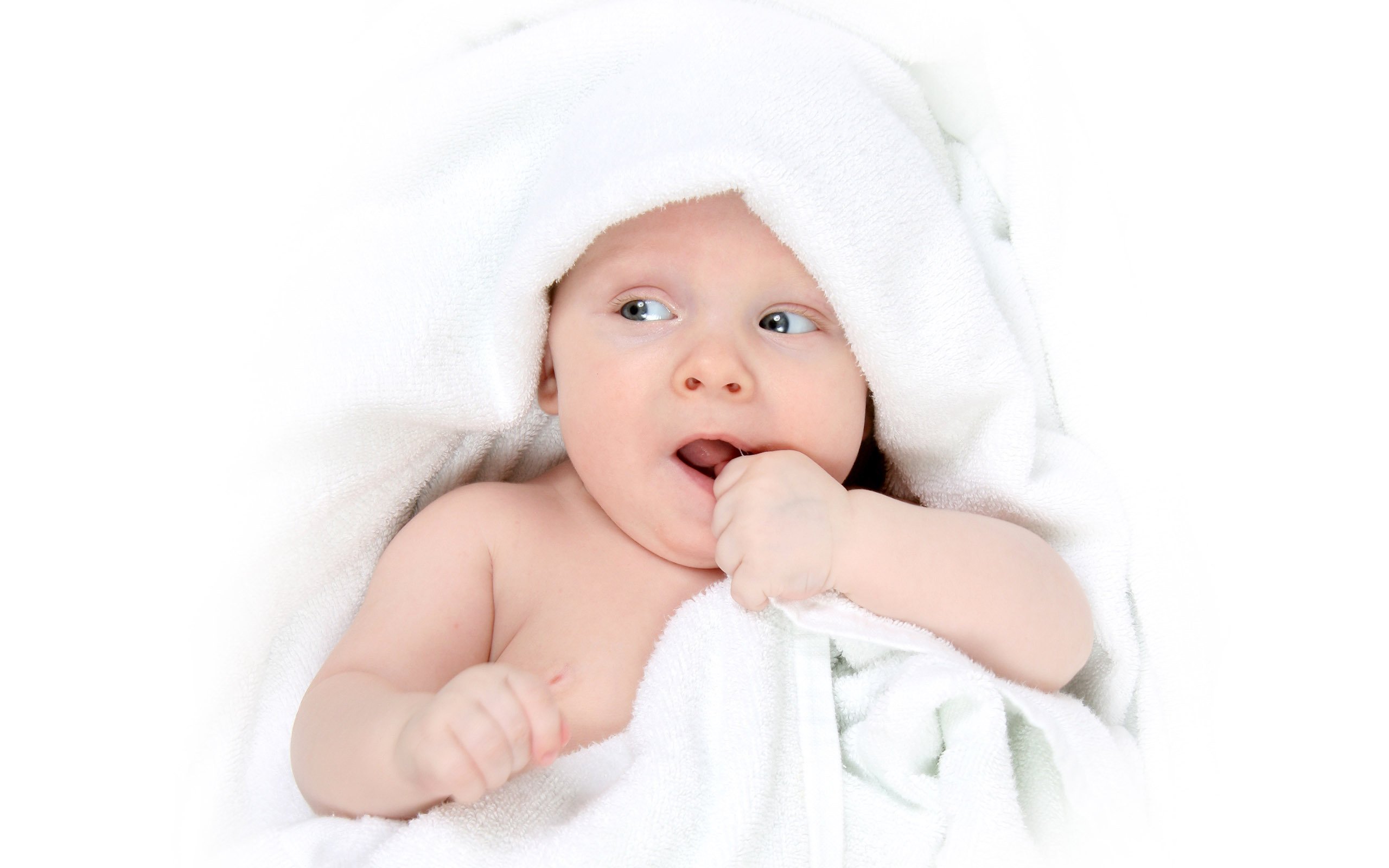 苏州捐卵联系方式试管婴儿胚胎成功率